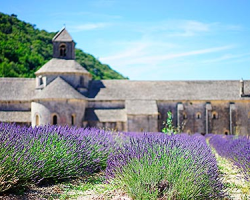 camping gordes Abbaye Notre-Dame de Sénanque