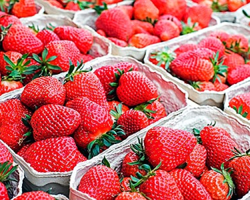 Fraises