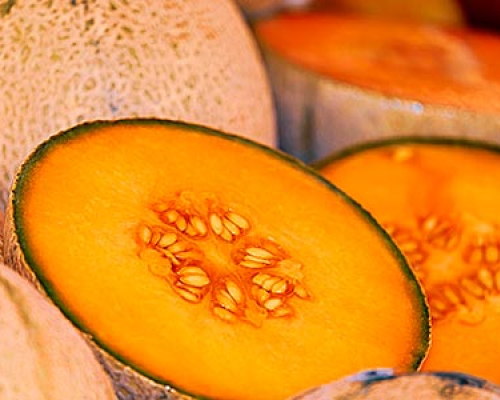Melon