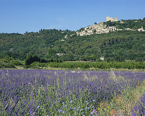 camping vaucluse 5 étoiles ciela village
