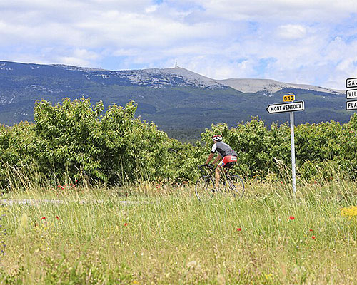 camping mont ventoux avec piscine