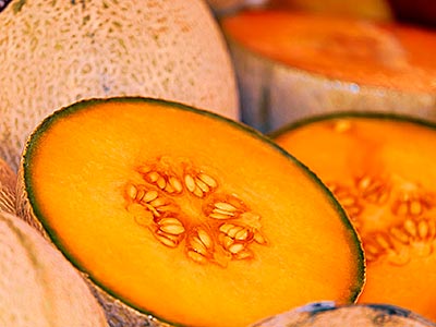 Melons de Cavaillon coupés en tranches