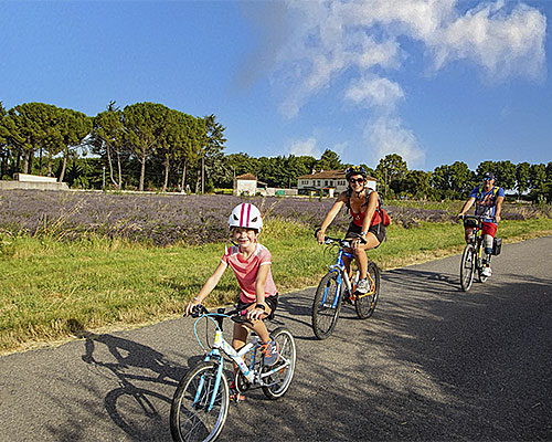 camping vaucluse parc aquatique